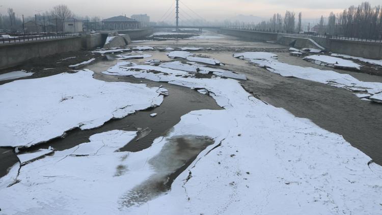 Ağrı, Kars ve Ardahanda sulak alanlar buz tuttu, ağaçları kırağı kapladı