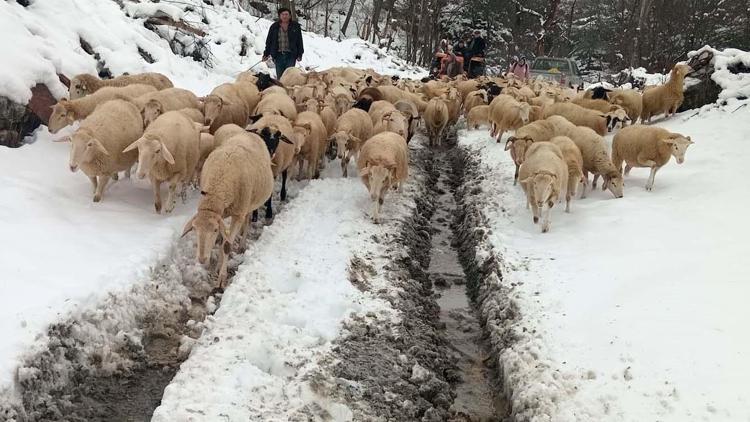 Karda mahsur kalan çoban ve ailesi kurtarıldı