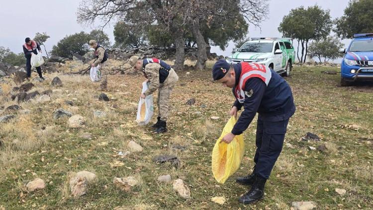 Kiliste, yaban hayvanları için doğaya yem bırakıldı