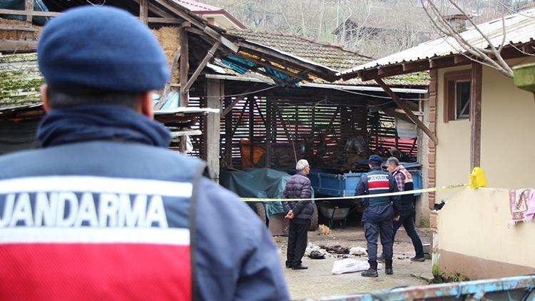 Akıllara durgunluk veren olay: Horozları için kurşun yağdırıp dehşet saçtı