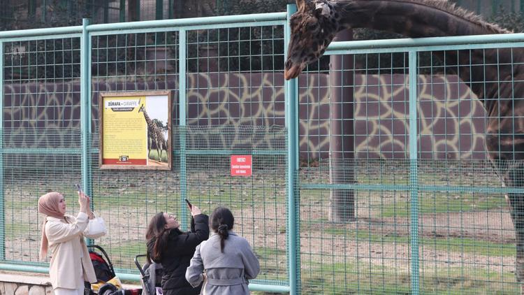 Türkiyenin en büyük hayvanat bahçesinde tüm zamanların ziyaretçi rekoru kırıldı