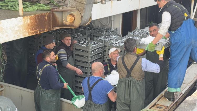 Marmarada hamsi bereketi; tekneler yüzlerce kasayla dönüyor limana