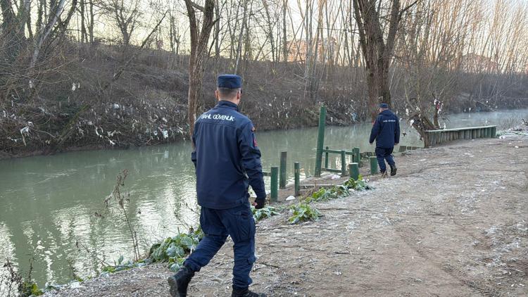 Balık sürüsünün peşinden Bartın Irmağına giren yavru yunus bulunamadı