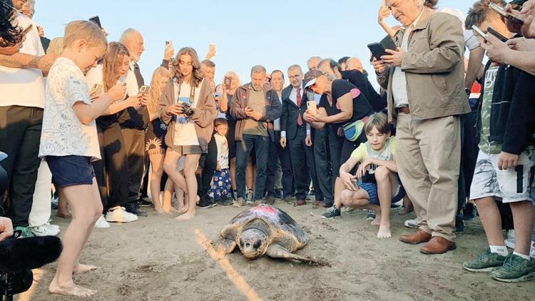 ‘Caretta Cumhuriyet’ 1000 km yüzdü 2 bin kişi izledi