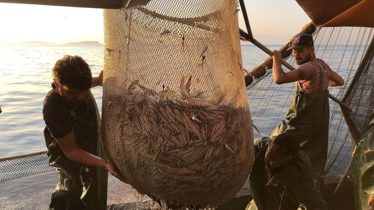 Deniz soğumadı, Marmara Denizinde beklenen lüfer akını olmadı