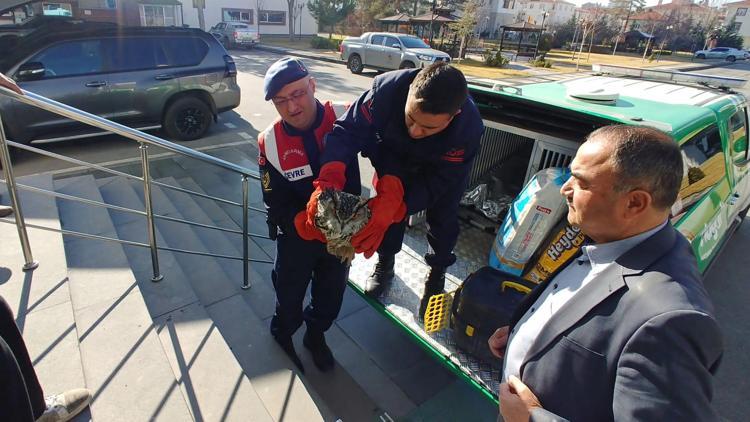 Yaralı bulunan puhu kuşu tedaviye alındı