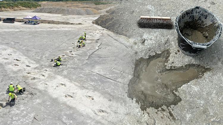 Kazı yapan maden işçisi buldu, bilim insanları şaşkına döndü Adeta bir zaman makinesi