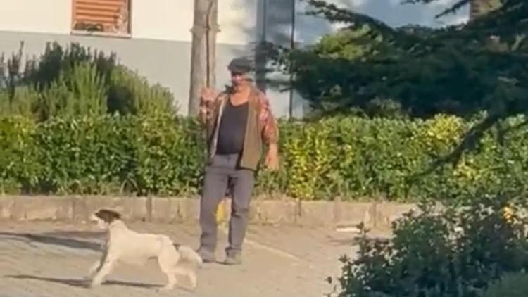 Olta ucuna bağladığı canlı güvercinle av köpeğine eğitim yaptıran kişiye para cezası