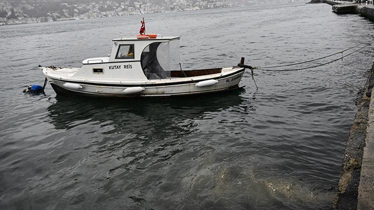 İstanbulun göbeğinde iğrenç görüntü Çevre sakinleri isyan etti: Leş gibi kokuyor