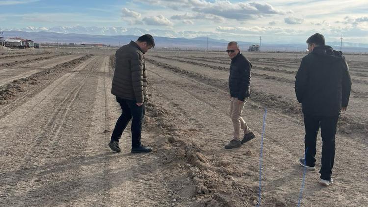 Borda meraya tuz çalısı ve bozkır otu dikildi