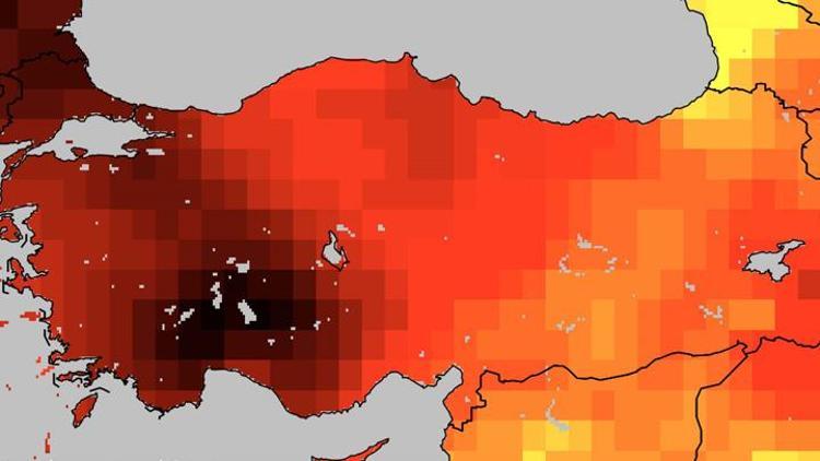 Prof. Dr. Barış Önol, haritayı paylaştı: Dünya ölçüm tarihinin en sıcak yılı 2024 oldu