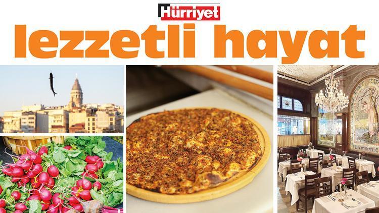 Gastronomi kazanında kaynayanlar