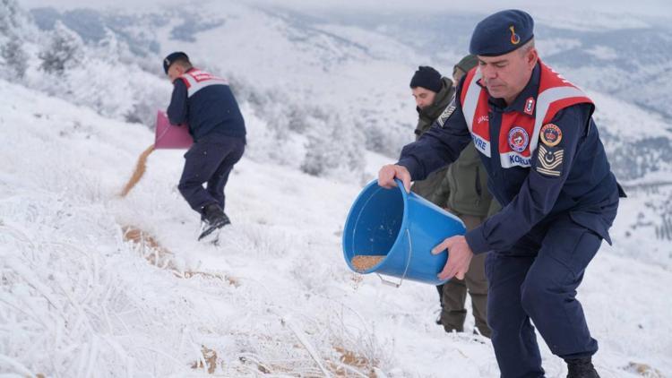 Kırşehirde jandarma yaban hayvanları için doğaya yem bıraktı