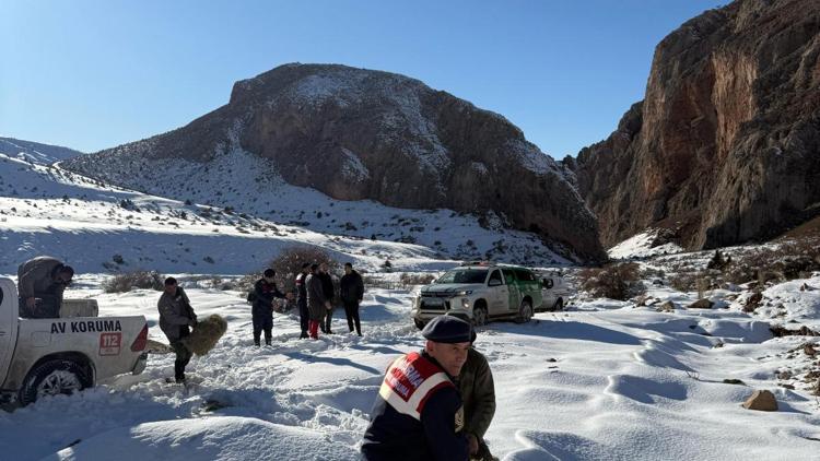 Niğde’de dağ keçileri için yem bırakıldı