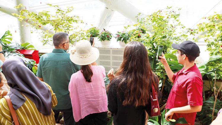 Kelebek Bahçesi ilk 10’a girdi Kelebek Bahçesi ilk 10’a girdi