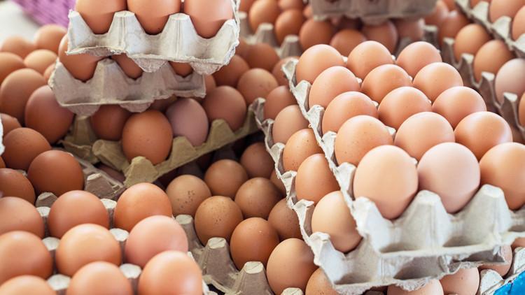 Yumurta ihracatına 50 cent kesinti Yumurta ihracatına 50 cent kesinti