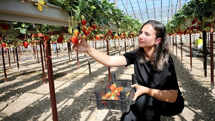 KOSGEBden işletme kurmak isteyen 8500 kadına destek