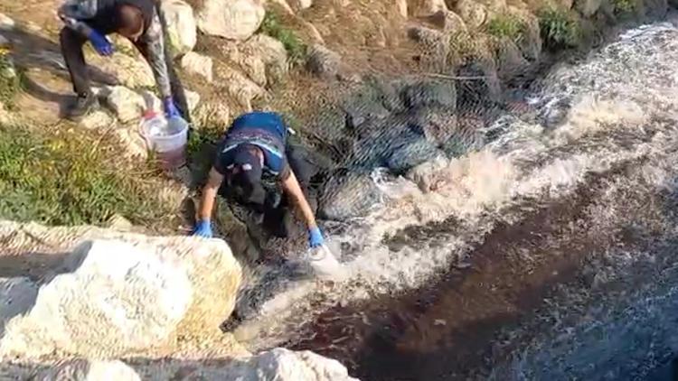 Bakanlıktan Ceyhan Nehrindeki balık ölümlerine inceleme