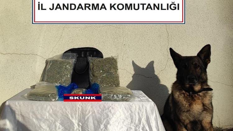 Yolcu otobüsünde uyuşturucu ele geçirildi 2 gözaltı
