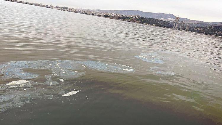 Çevre katliamına ağır ceza