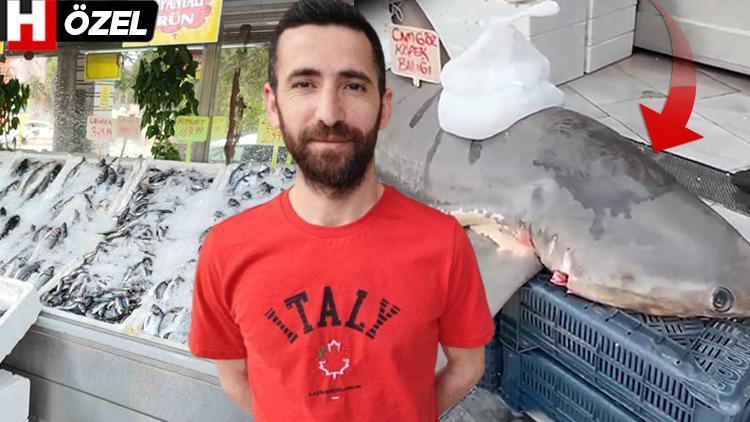 Adana’da yakalandı, kanser hastalarına dağıtıldı Köpek balığı gerçekten kanseri yenebilir mi ‘Bazı yan etkileri var ama…’