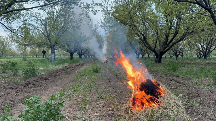 Kayısı Üreticileri Zirai Donla Mücadele Ediyor