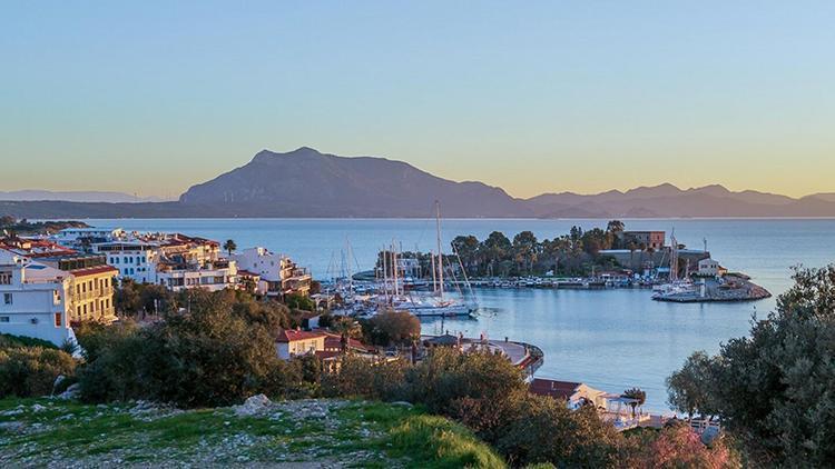 Datçada mavi dil alarmı: Karantina uygulaması başladı