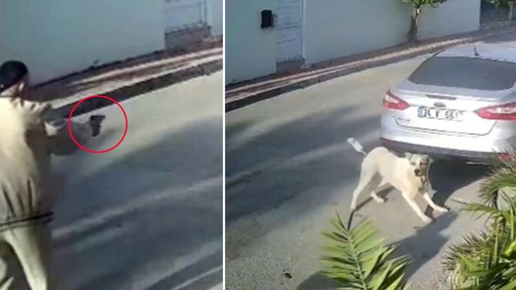 Antalyada vahşet Köpeği 3 el ateş ederek öldürdü