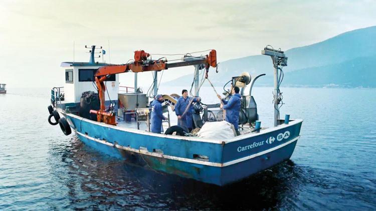 ‘Balık tutmayı değil doğru avlanmayı öğret’ ‘Balık tutmayı değil doğru avlanmayı öğret’