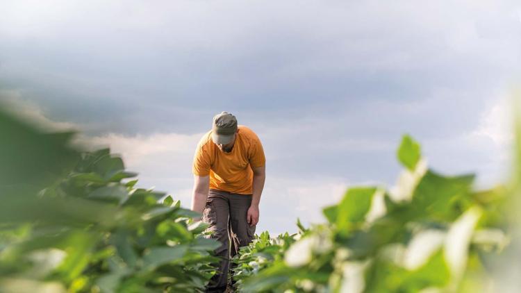 Yaşlanan kırsala hibe çözümü