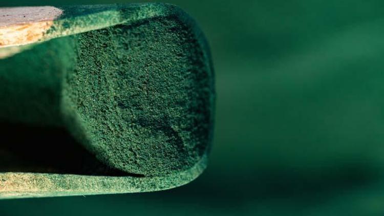 Sudan çıkan sağlık takviyesi! Besin deposu, antioksidan kaynağı... İşte spirulinanın sağlığa faydaları