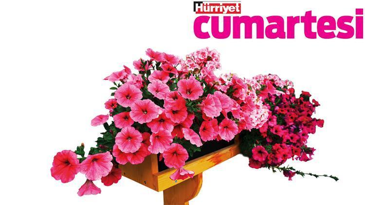 Bitkilerle iyi bir ilişki kurmak için...