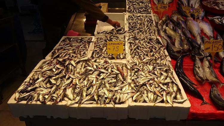 Karadenizde balık stokları azalıyor