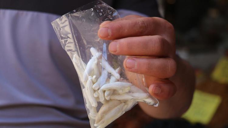 Yarım altın fiyatına sakız Dünyada böylesi yok