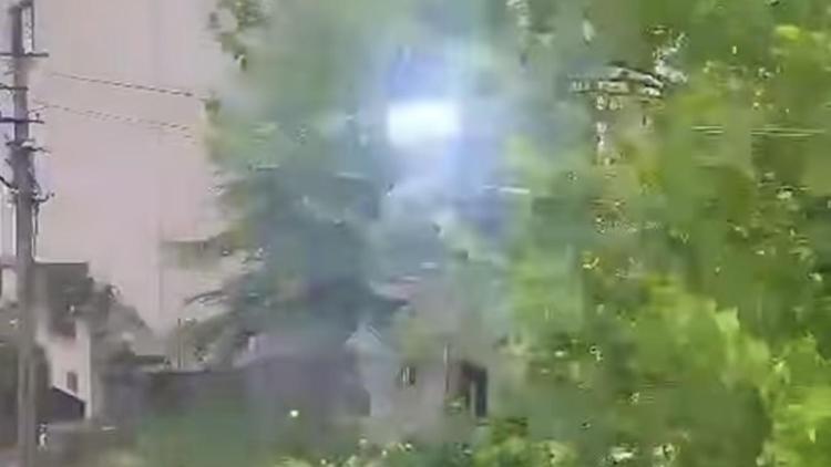 Bartında şiddetli rüzgar; ağaçlar devrildi