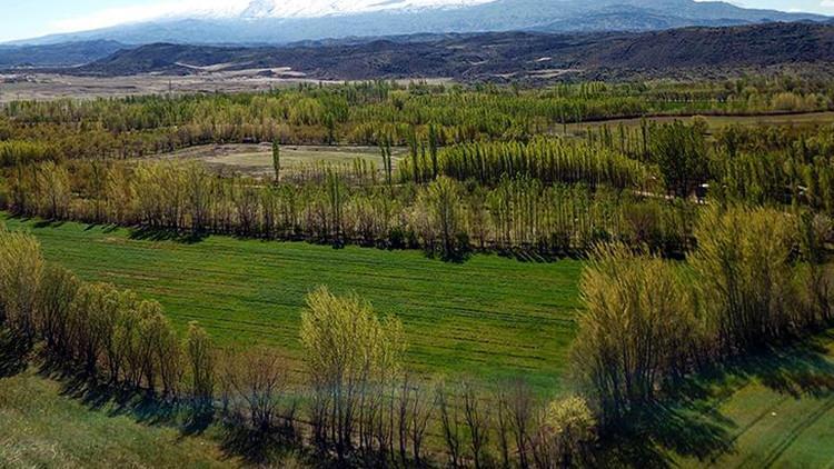 2B arazilerinde tapu süreci nasıl olacak Detaylar belli oldu 2B arazilerinde tapu süreci nasıl olacak Detaylar belli oldu