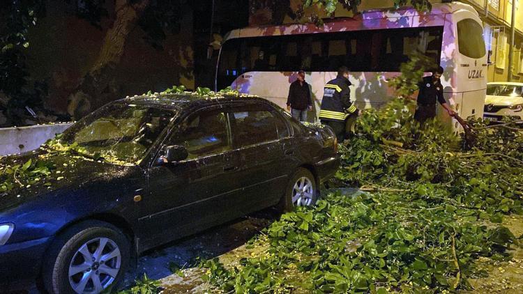 Çorluda ağaç park halindeki otomobilin üzerine devrildi