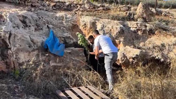 Şanlıurfa’da uyuşturucuya 1 tutuklama