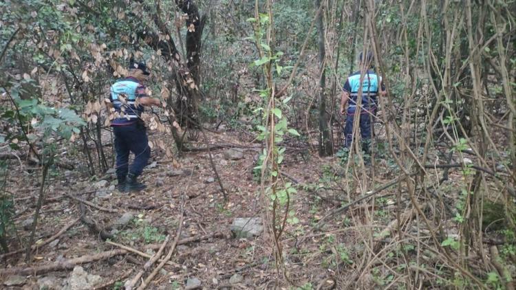 Yiyecek arayan yaban domuzlarının götürdüğü çantayı jandarma ekipleri buldu