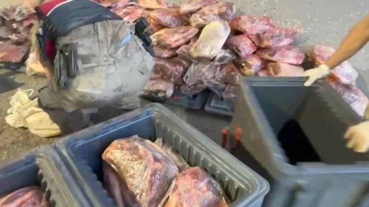 Mide bulandıran görüntü 1 ton 700 kilo mühürsüz et ele geçirildi