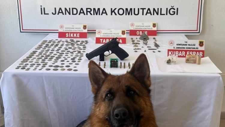Gümüşhanede 165 sikke ele geçirildi