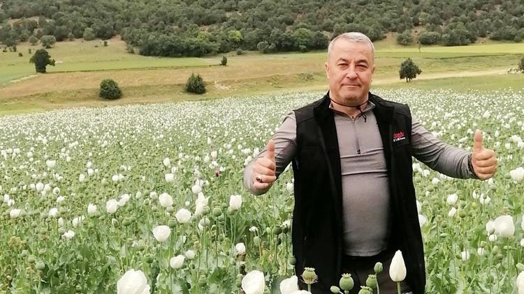 Afyonkarahisarda haşhaş tarlaları beyaza büründü