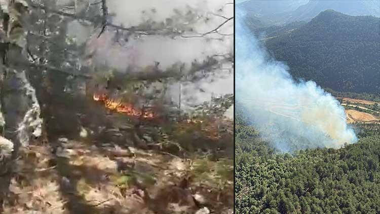 Balıkesirde orman yangını: 4 saatlik müdahalenin ardından kontrol altına alındı
