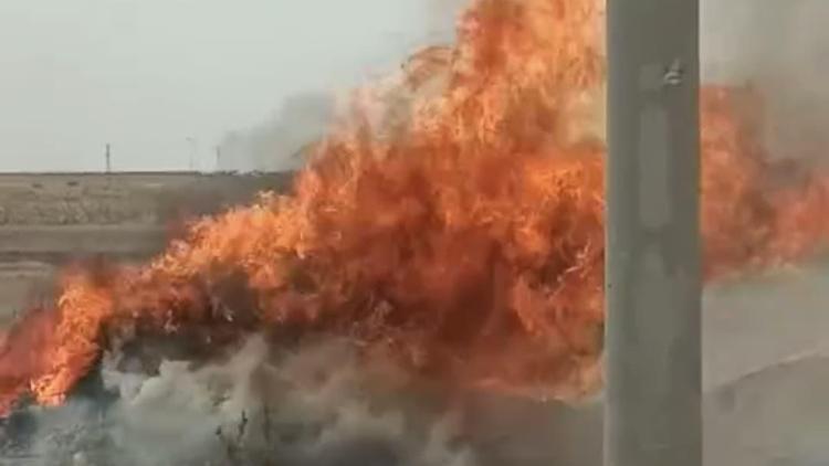Nusaybin’de istiflenen çalılar yandı
