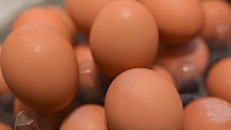 Tavuk eti üretimi arttı, yumurta ve süt üretimi azaldı