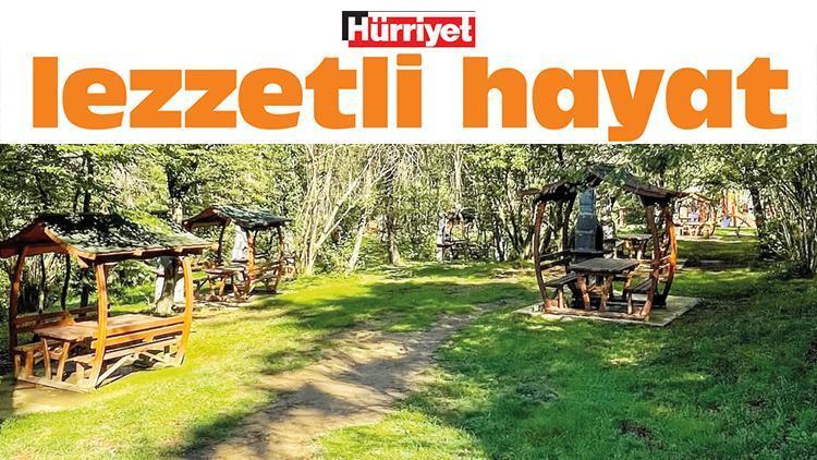 En iyi 10 piknik alanı: Şehirden çıkmadan doğayla buluşmanın en güzel hali