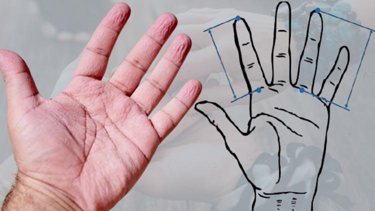 ‘2D:4D’ oranı kafaları karıştırdı! Parmaklarınızın uzunluğu sizin hakkınızda ne söylüyor? Bilim insanlarından şaşırtan uyarılar