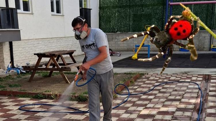 Nadir görülen bir tür O ilimizde ortaya çıktı Görüldüğü an dokunulmasın