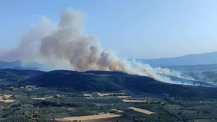 Manisada orman yangını Manisada orman yangını