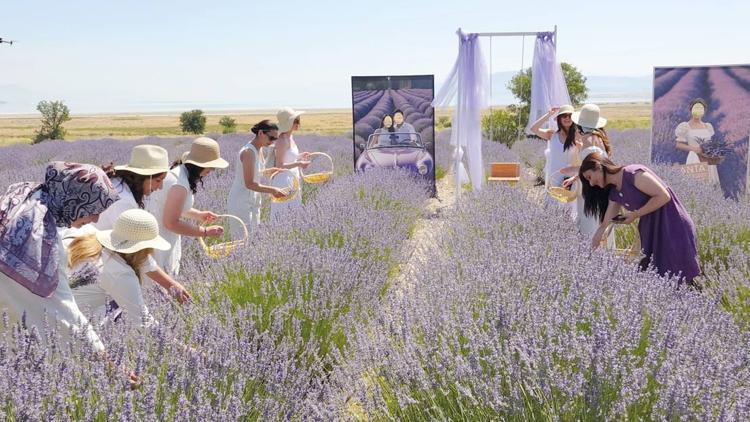 Tatilde yeni trend ‘tarım turizmi’